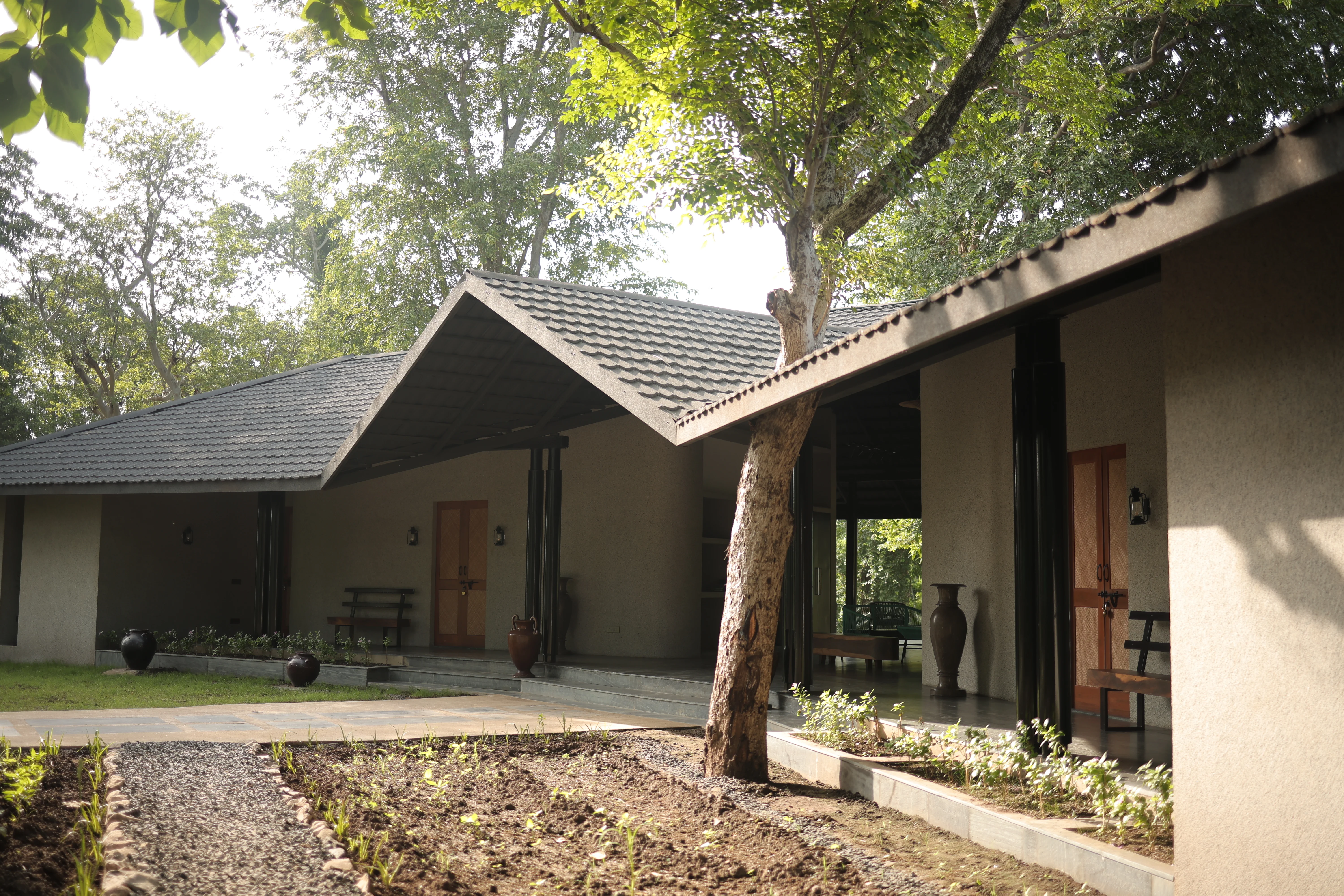 Trails of Teak Nature Suite